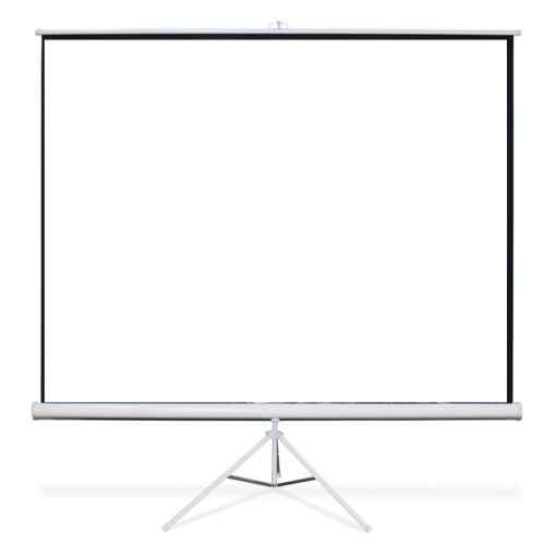 Projector Screen, 8' X 8'