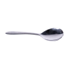 Serving Spoon