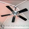 Ceiling Fan