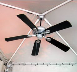 Ceiling Fan